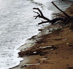 View of waves on shore