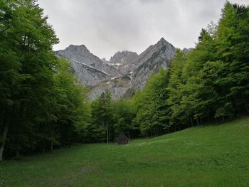 Scenic view of trees and mountains against sky