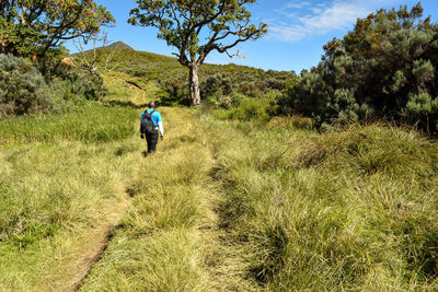 Rear view of man hiking in the mountains at mount kenya 