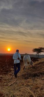 Horse cart on field against sky during sunset