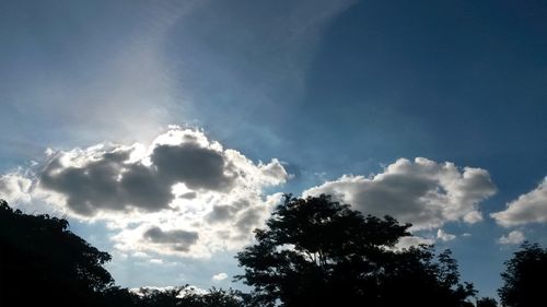 Low angle view of silhouette trees against sky