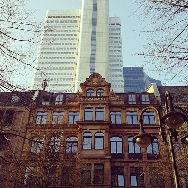 building exterior, architecture, built structure, city, skyscraper, low angle view, office building, modern, tall - high, building, tower, bare tree, glass - material, tree, sky, residential building, city life, window, day, outdoors