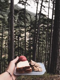 Midsection of woman holding apple in forest