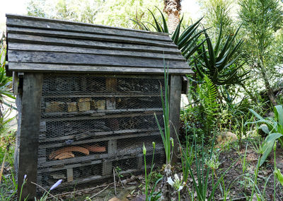Plants against building