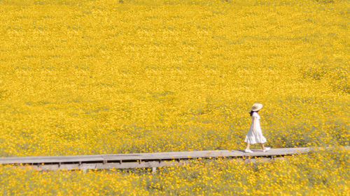 Woman standing on yellow flowering plants during autumn