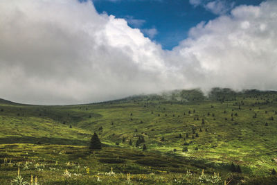 Scenic view of landscape against sky