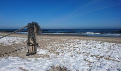 Driftwood on beach by sea against clear blue sky