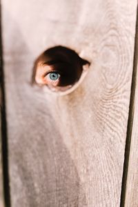 Cropped image of human eye looking through hole