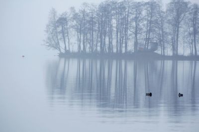 View of birds in lake