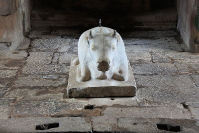 Statue of buddha in temple