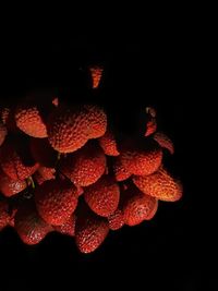 Close-up of strawberries on black background