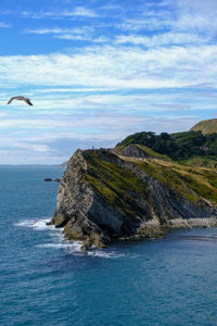 Bird on rock by sea against sky