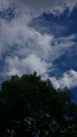 Low angle view of trees against sky