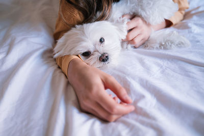 Midsection of woman with dog resting on bed