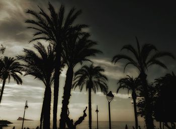 Silhouette palm trees against sky at sunset