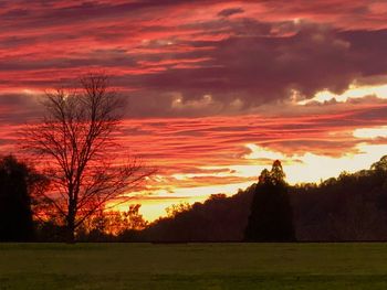 Silhouette trees on field against romantic sky at sunset