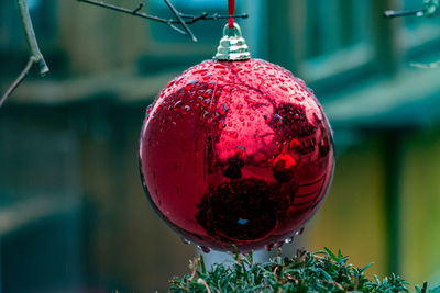 Close-up of red christmas bauble hanging on tree