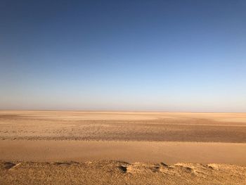 Scenic view of landscape against clear sky