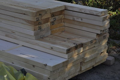 Close-up of an insect on wood