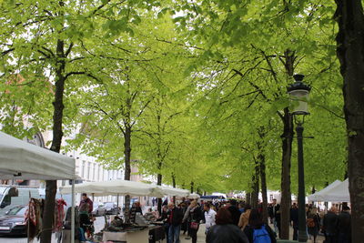 People in town square