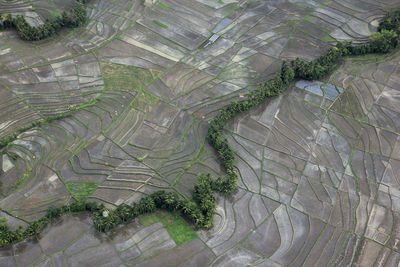 High angle view of agricultural field