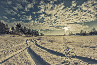 Scenic view of field against sky during winter