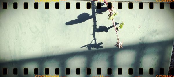 wall - building feature