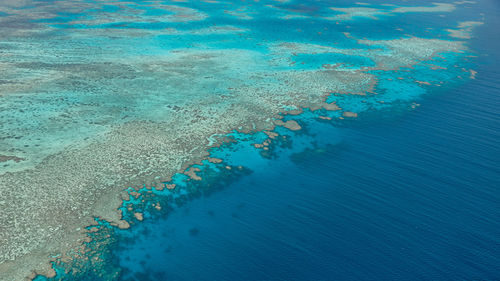 Aerial view of coral beach