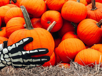 High angle view of pumpkins on field