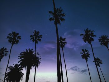 Low angle view of palm trees against blue sky