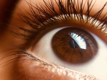 Macro shot of human eye