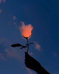 Low angle view of silhouette man against sky at night