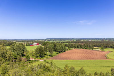 Scenic view of agricultural field against clear blue sky