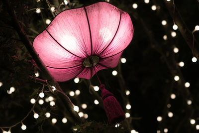 Close-up of pink paper lantern