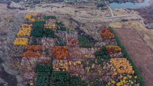 Graffiti on landscape against sky during autumn