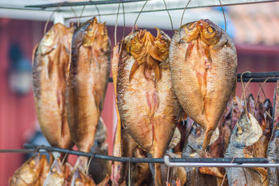 Hanging smoke-dried fish in a fish market smoked with hardwood wood chips in a smoker, ready to eat