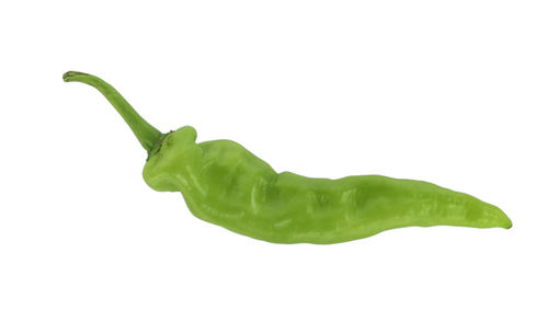 Close-up of green chili pepper against white background