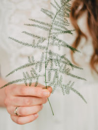 Close-up of woman hand holding plant