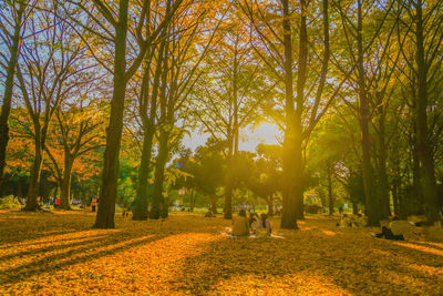 Trees on field