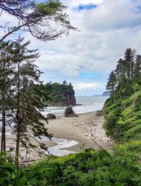 Scenic view of beach against sky