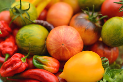 Close-up of tomatoes