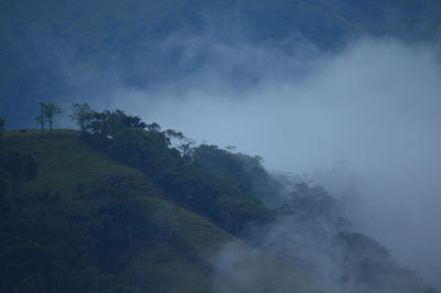 Trees on landscape against sky