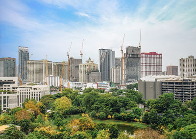 Trees and buildings in city against sky