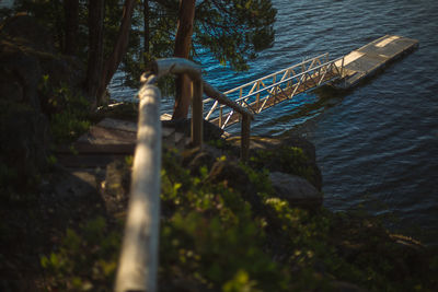 Scenic view of river amidst trees