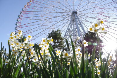 Low angle view of ferris wheel against sky