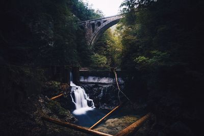 View of waterfall in forest