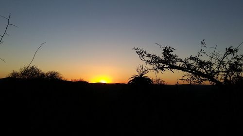 Silhouette trees on field against clear sky during sunset