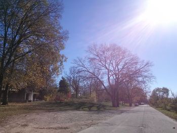 Road passing through forest