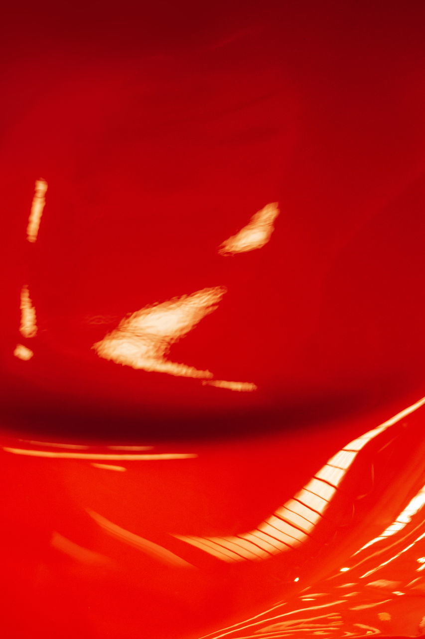 red, no people, macro photography, close-up, indoors, studio shot, light, nature, flower, font