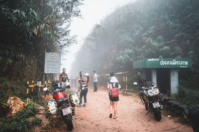 People on street amidst trees and plants